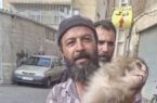 حادثه‌ای عجیب در تبریز ؛ هجوم میمون‌هایی به قلب تبریز!