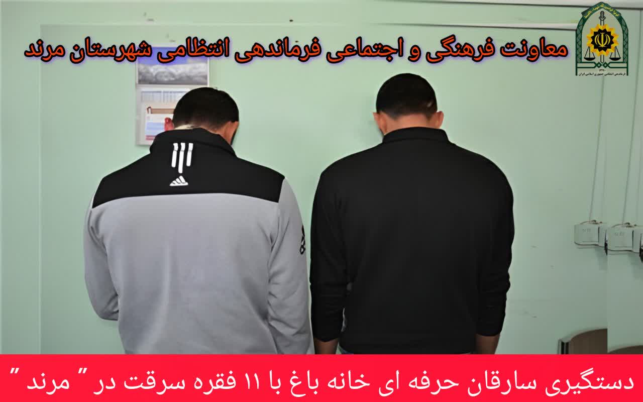 🚨دستگيري سارقان حرفه ای در «مرند»
