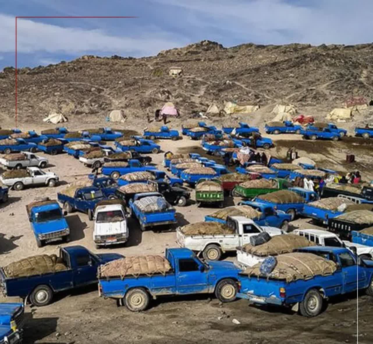 🔺ضربه سنگین به شبکه قاچاق سوخت در کرمان 🔺ضربه سنگین به شبکه قاچاق سوخت در کرمان