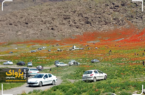 هجوم گردشگران به سوی بهشت پنهان ـ طبیعت زیبای روستای گله بان