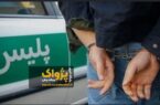 اراذل و اوباش شرور در مرند دستگیر شد