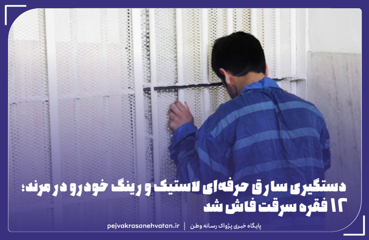 دستگیری سارق حرفهای لاستیک و رینگ خودرو در مرند؛ ۱۲ فقره سرقت فاش شد