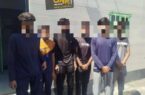 جمع‌آوری ۶ تبعه خارجی غیرمجاز و دستگیری راننده حامل آنان در مرند