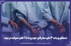 دستگيري باند سارقان قطعات و محتویات داخل خودرو با ۲۵فقره سرقت در مرند