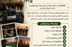 فراخوان ارسال عکس‌های اربعین حسینی ۱۴۰۵ منتشر شد