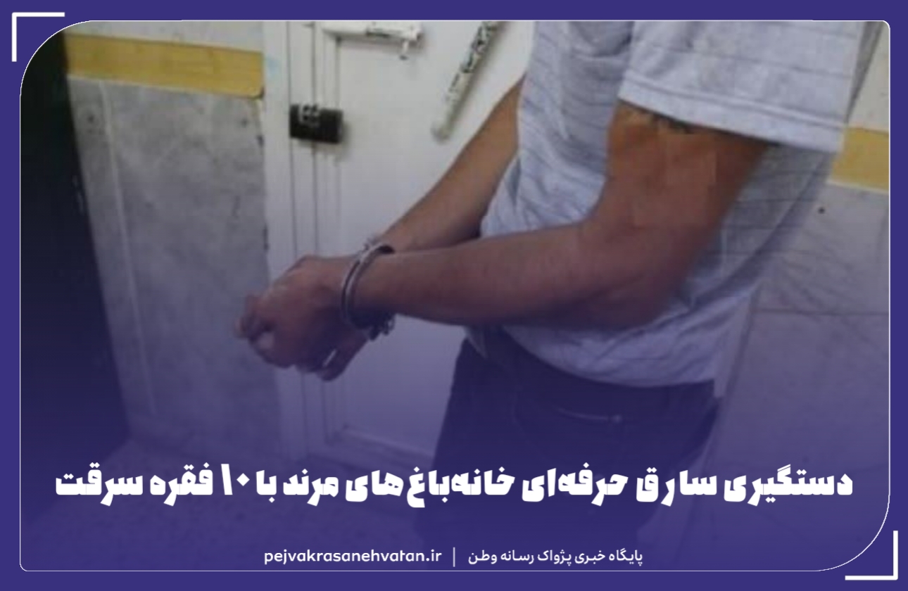 دستگیری سارق حرفه‌ای خانه‌باغ‌های مرند با ۱۰ فقره سرقت