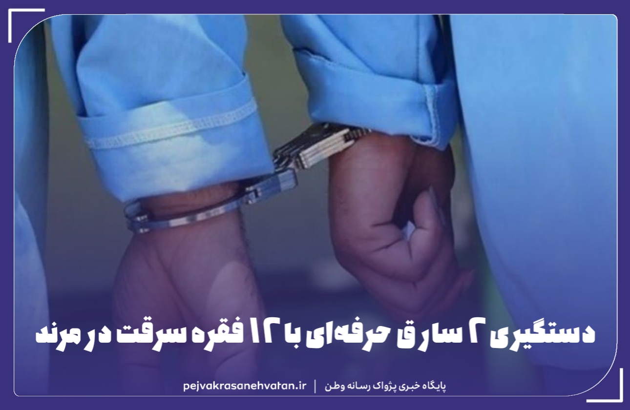 دستگیری ۲ سارق حرفه‌ای با ۱۲ فقره سرقت در مرند